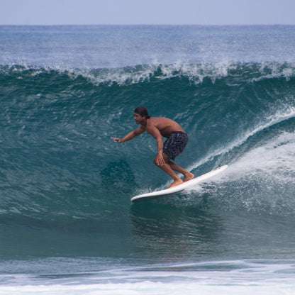 Rock-It Surf 8' BIG SOFTY longboard (3-fin)