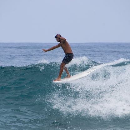 Rock-It Surf 8' BIG SOFTY longboard (3-fin)
