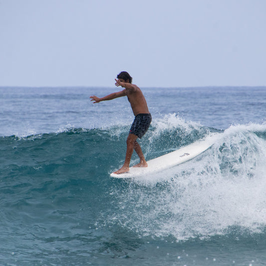 Rock-It Surf 8' BIG SOFTY longboard (3-fin)