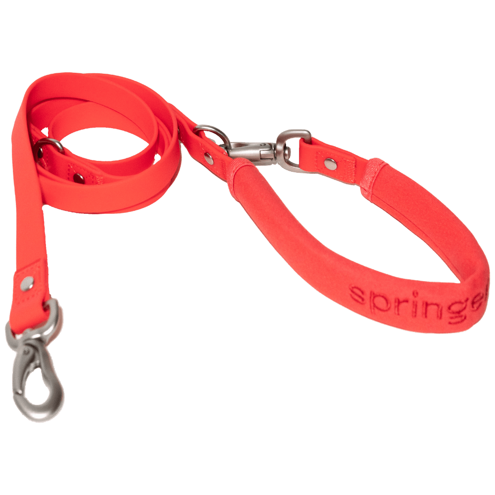 Springer Dog Leash - Angler's Pro Tackle & Outdoors