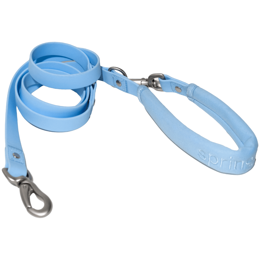 Springer Dog Leash - Angler's Pro Tackle & Outdoors