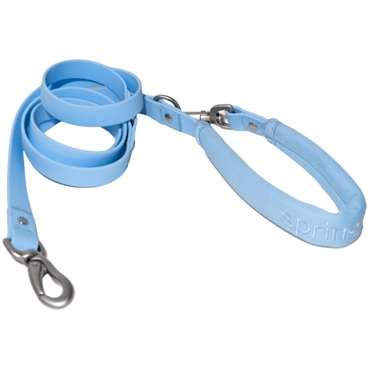 Springer Dog Leash - Angler's Pro Tackle & Outdoors