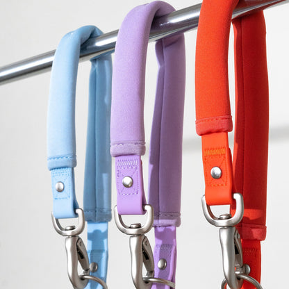 Springer Dog Leash - Angler's Pro Tackle & Outdoors