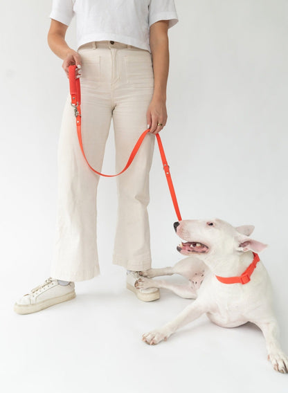 Springer Dog Leash - Angler's Pro Tackle & Outdoors