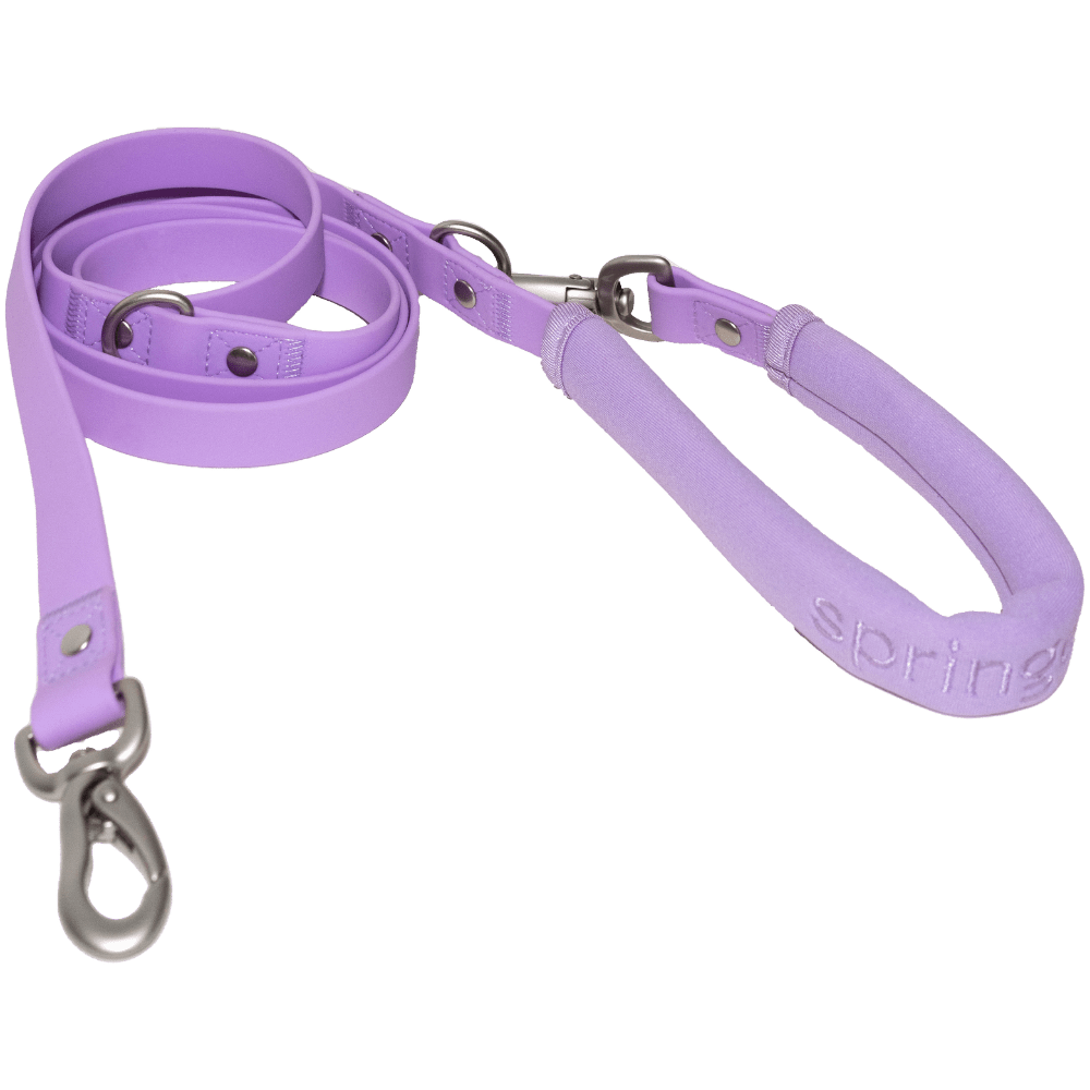 Springer Dog Leash - Angler's Pro Tackle & Outdoors