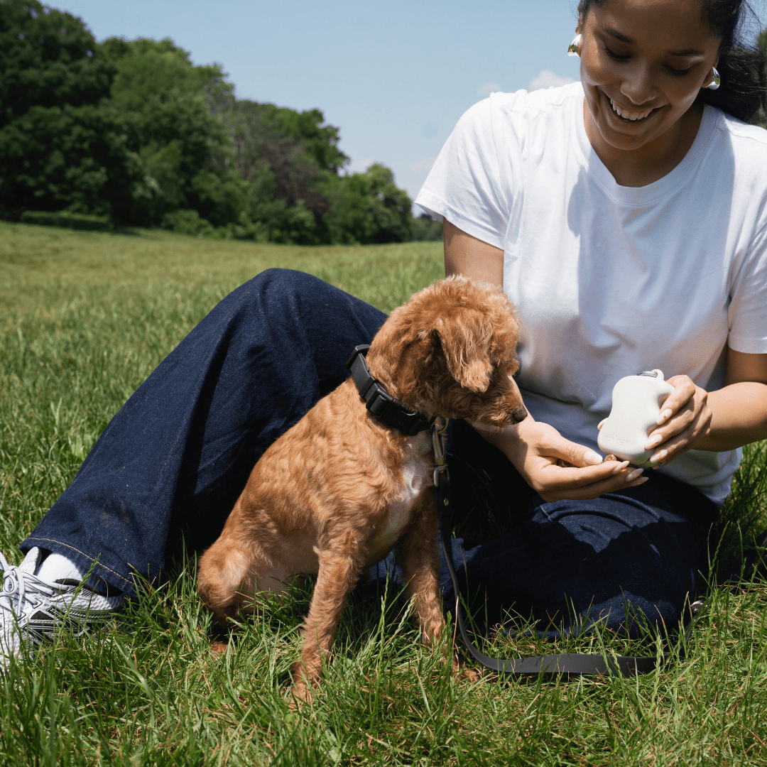 Springer Silicone Dog Treat Dispenser - Angler's Pro Tackle & Outdoors