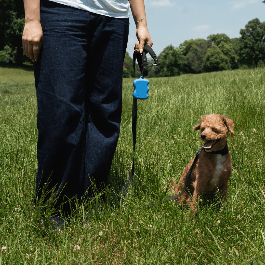 Springer Silicone Dog Treat Dispenser - Angler's Pro Tackle & Outdoors