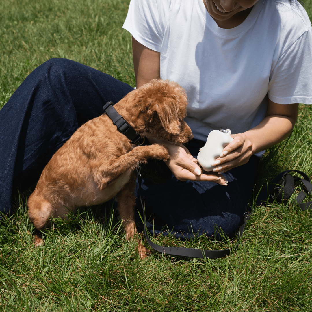 Springer Silicone Dog Treat Dispenser - Angler's Pro Tackle & Outdoors