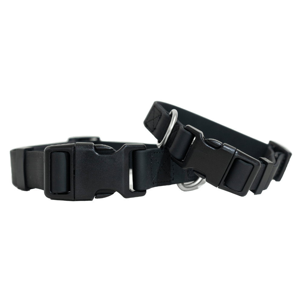 Springer Small Dog Collar - Angler's Pro Tackle & Outdoors