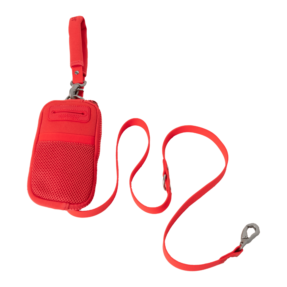 Springer Walk Bag + Small Dog Leash - Angler's Pro Tackle & Outdoors