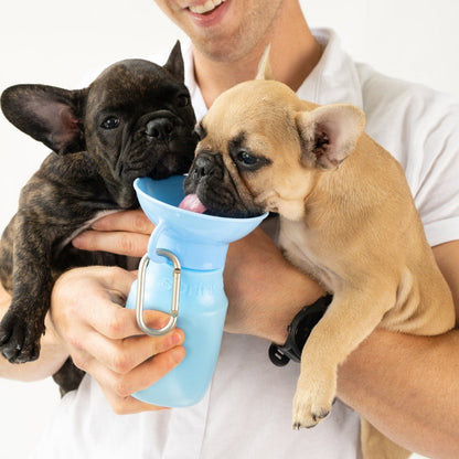 Springland Pets 15oz Original Dog Travel Water Bottle - Angler's Pro Tackle & Outdoors
