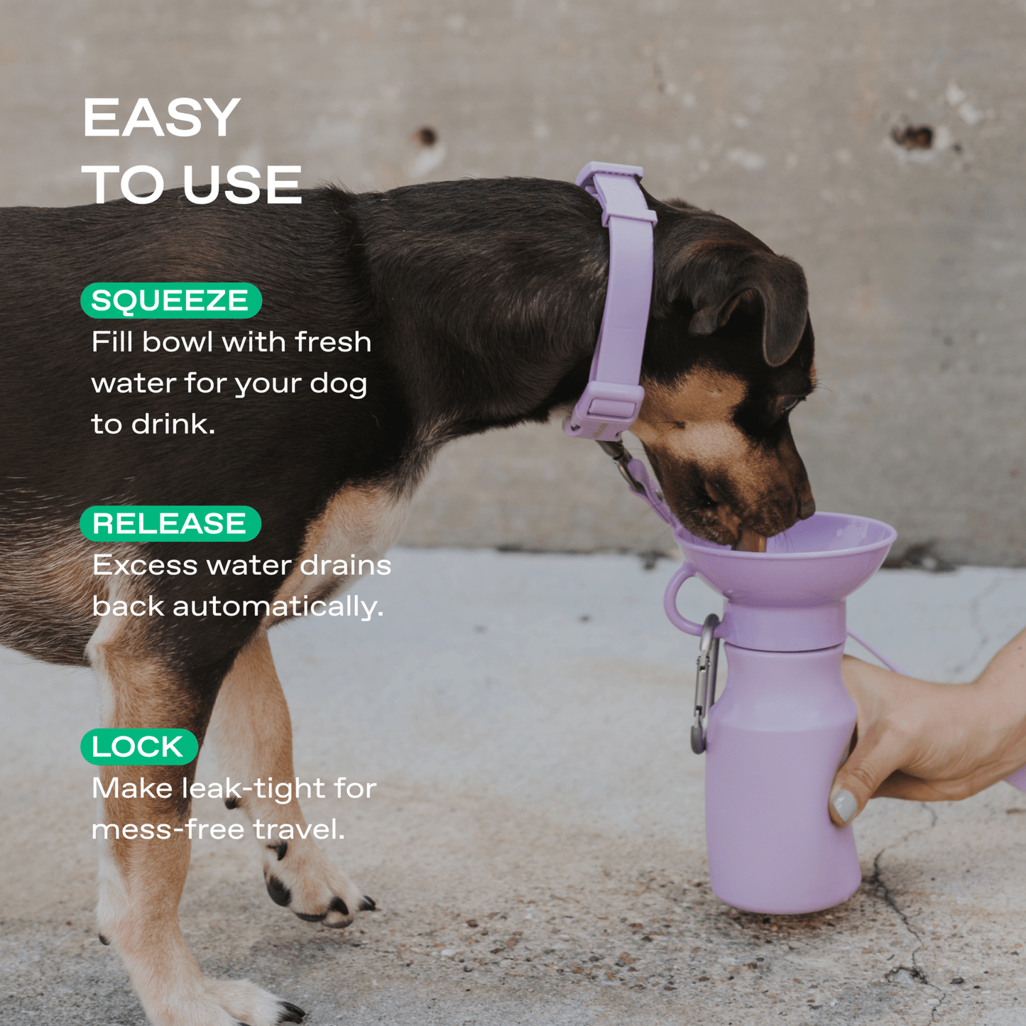 Springland Pets 15oz Original Dog Travel Water Bottle - Angler's Pro Tackle & Outdoors