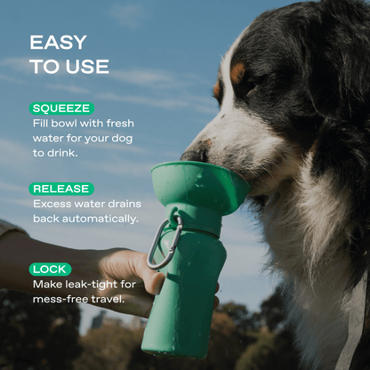 Springland Pets 20oz Flip Dog Travel Water Bottle - Angler's Pro Tackle & Outdoors