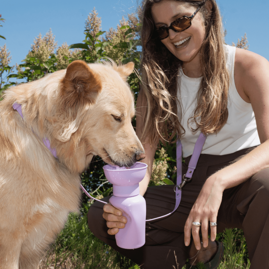 Springland Pets 20oz Flip Dog Travel Water Bottle - Angler's Pro Tackle & Outdoors