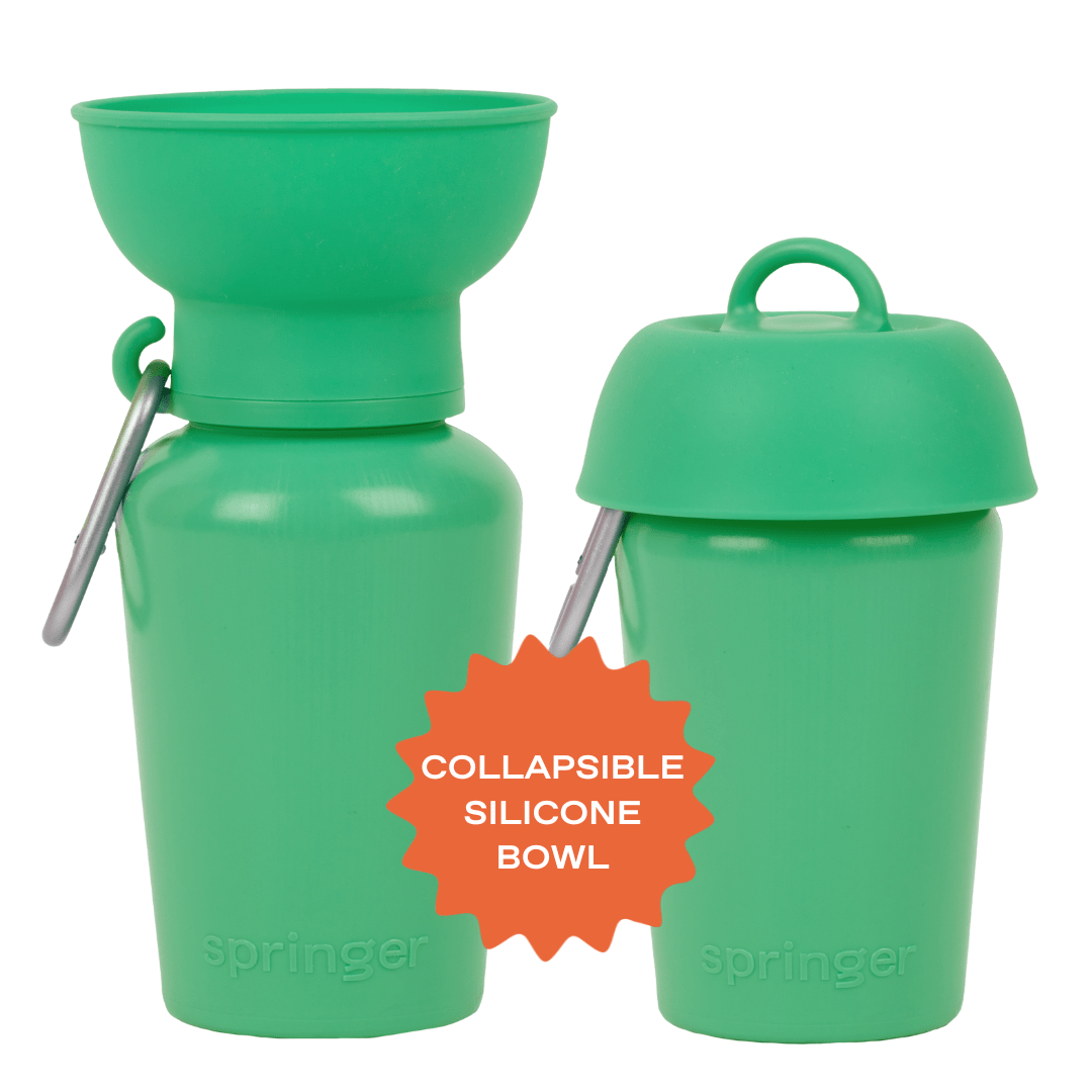 Springland Pets 20oz Flip Dog Travel Water Bottle - Angler's Pro Tackle & Outdoors