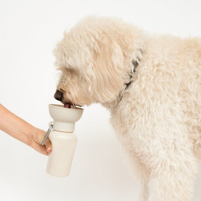 Springland Pets 20oz Flip Dog Travel Water Bottle - Angler's Pro Tackle & Outdoors