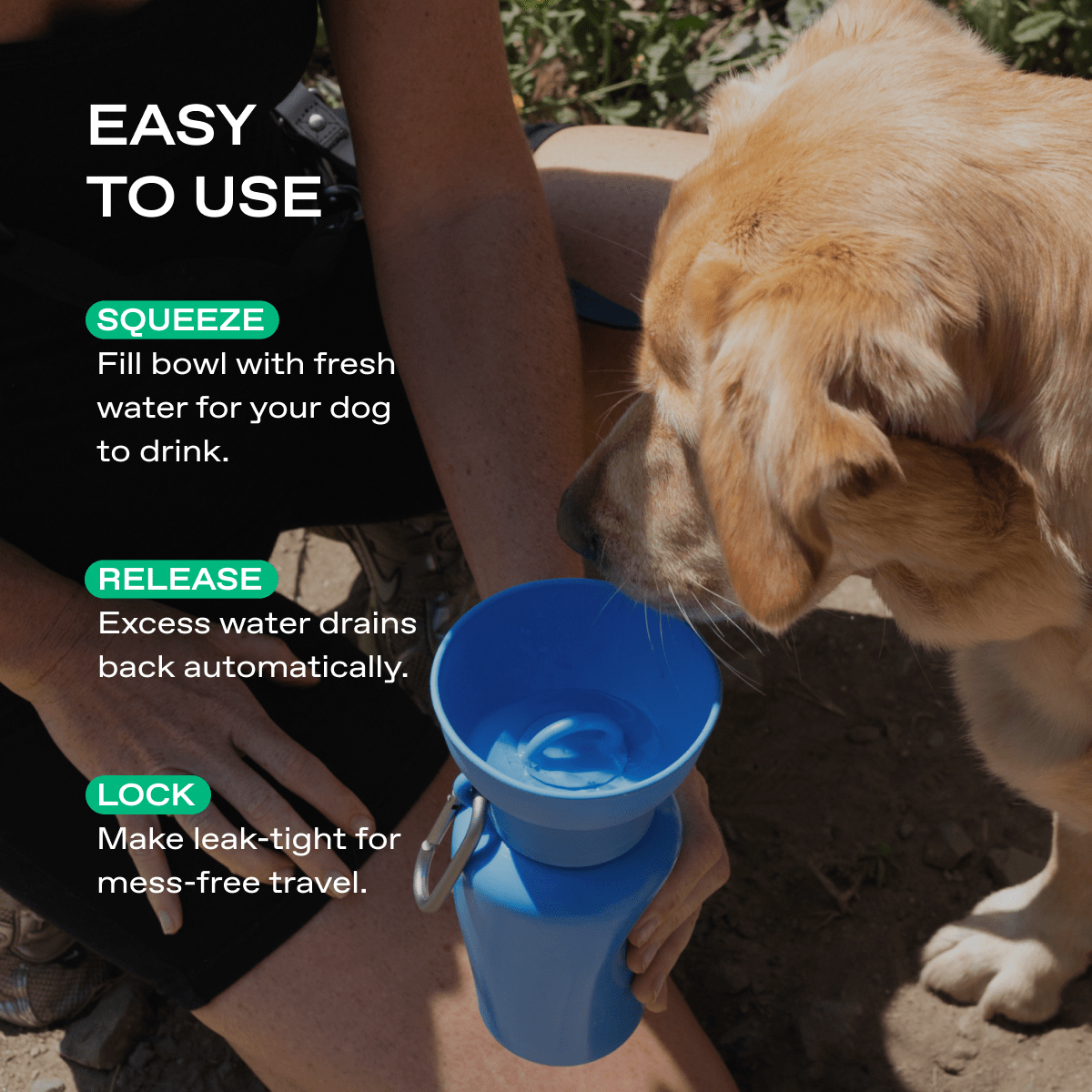 Springland Pets 20oz Flip Dog Travel Water Bottle - Angler's Pro Tackle & Outdoors