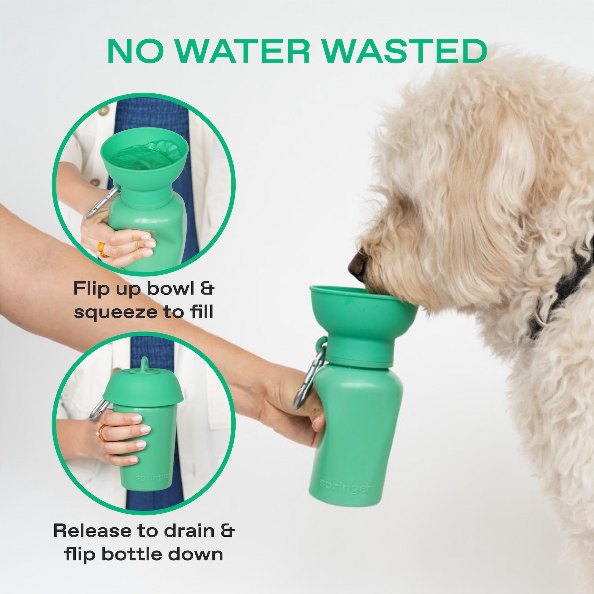 Springland Pets 20oz Flip Dog Travel Water Bottle - Angler's Pro Tackle & Outdoors
