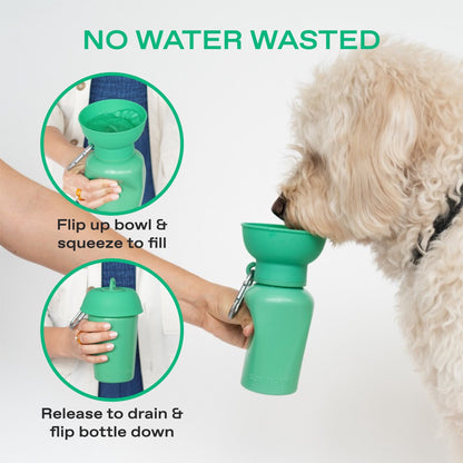 Springland Pets 20oz Flip Dog Travel Water Bottle - Angler's Pro Tackle & Outdoors