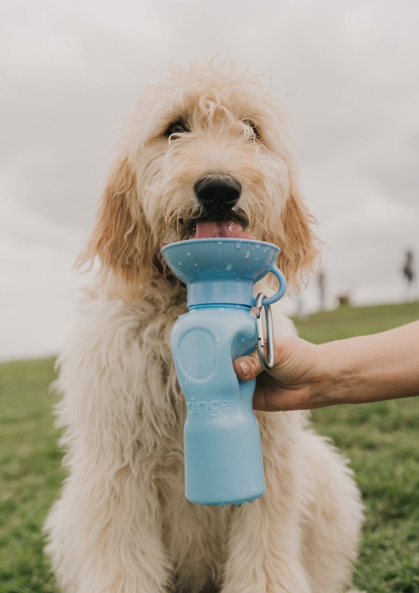 Springland Pets 22oz Original Dog Travel Water Bottle - Angler's Pro Tackle & Outdoors