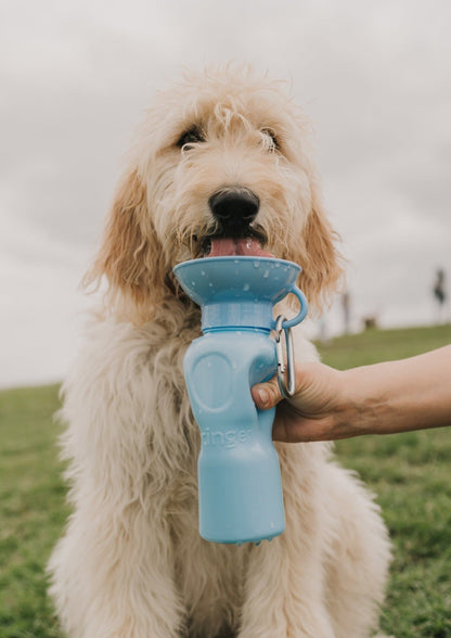 Springland Pets 22oz Original Dog Travel Water Bottle - Angler's Pro Tackle & Outdoors