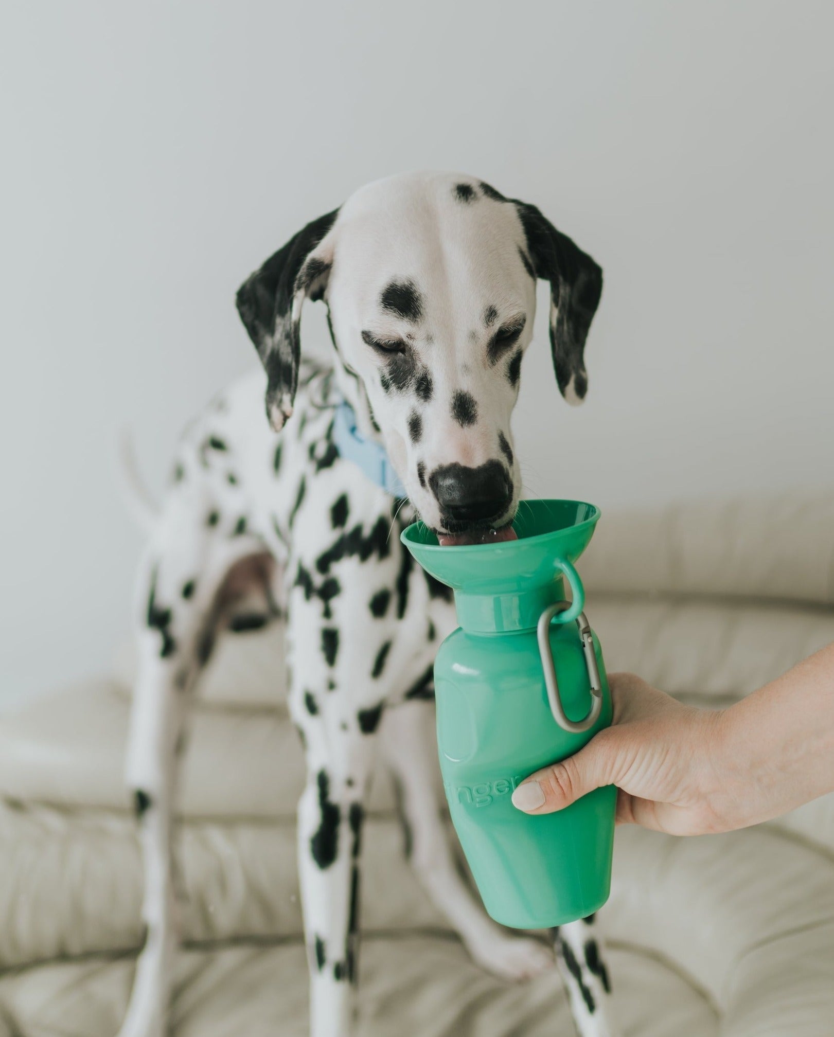 Springland Pets 22oz Original Dog Travel Water Bottle - Angler's Pro Tackle & Outdoors