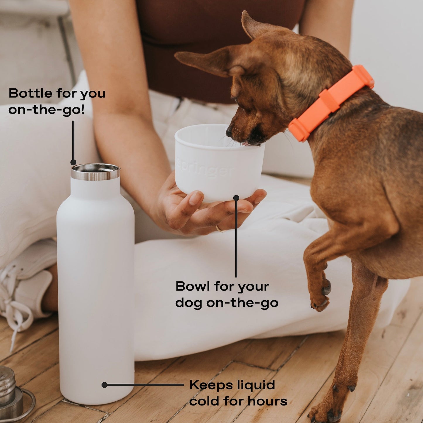 Springland Pets 24oz Dog & Me Insulated Water Bottle - Angler's Pro Tackle & Outdoors