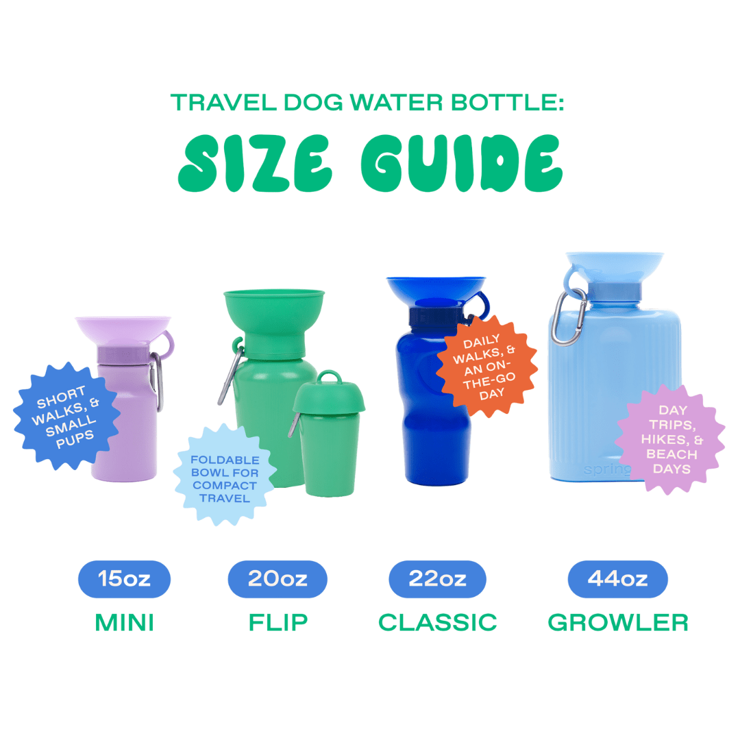 Springland Pets 44oz Original Dog Travel Water Bottle - Angler's Pro Tackle & Outdoors