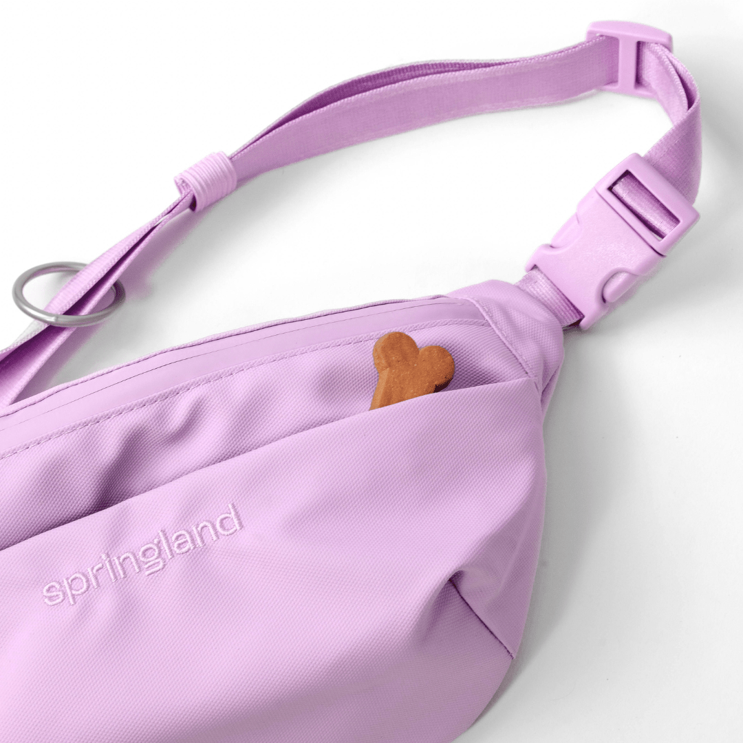 Springland Pets Hands - Free Dog Walking Bag with 4ft Leash - Angler's Pro Tackle & Outdoors