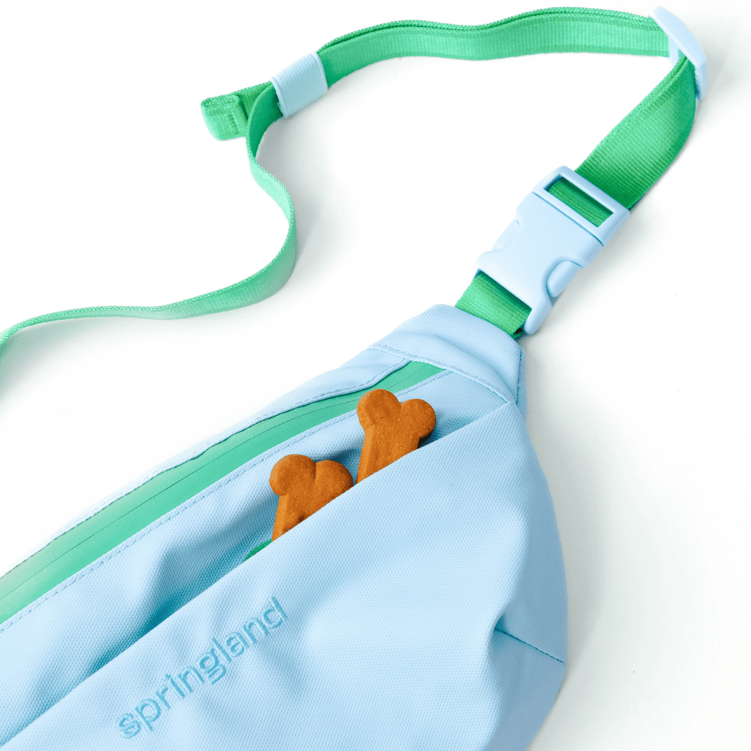 Springland Pets Hands - Free Dog Walking Bag with 4ft Leash - Angler's Pro Tackle & Outdoors