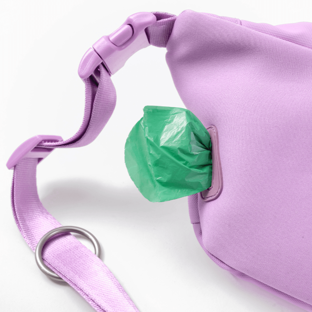 Springland Pets Hands - Free Dog Walking Bag with 4ft Leash - Angler's Pro Tackle & Outdoors