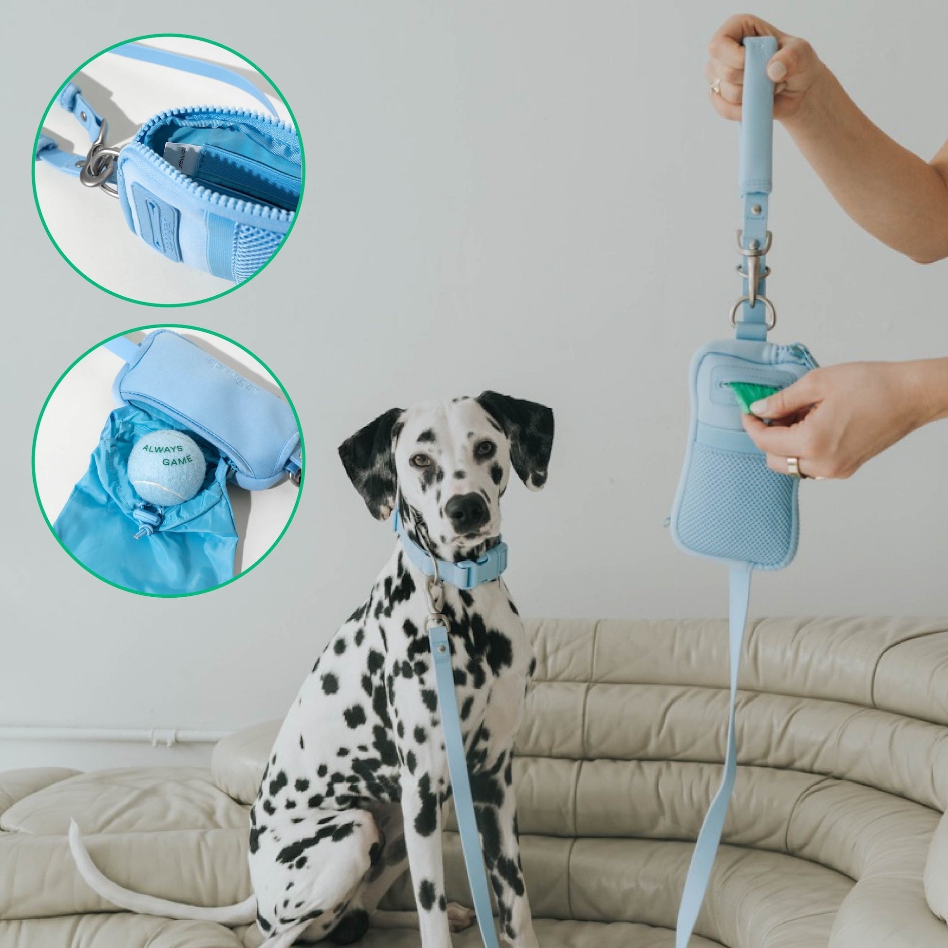 Springland Pets Original Neoprene Dog Walk Bag with Leash - Angler's Pro Tackle & Outdoors