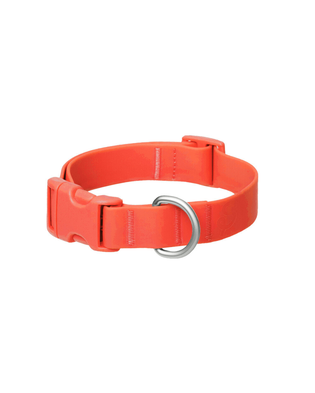 Springland Pets Original Waterproof Dog Collar - Angler's Pro Tackle & Outdoors