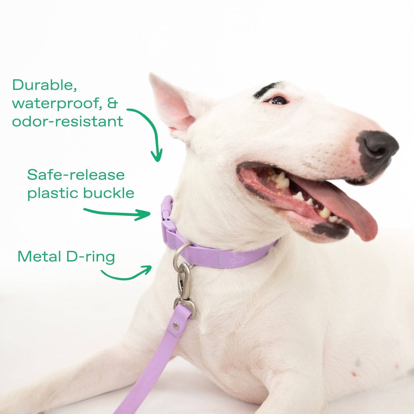 Springland Pets Original Waterproof Dog Collar - Angler's Pro Tackle & Outdoors