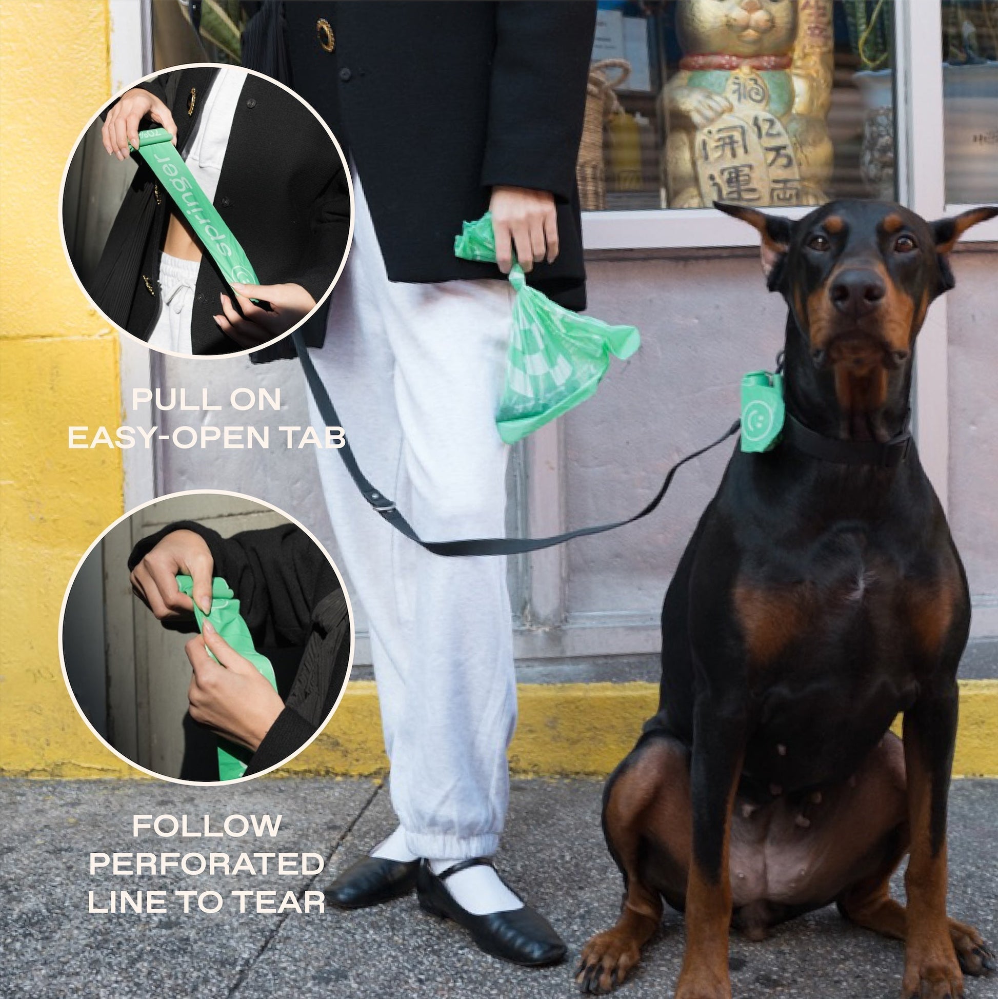 Springland Pets Premium Dog Poop Bag Dispenser + 15 Bags - Angler's Pro Tackle & Outdoors