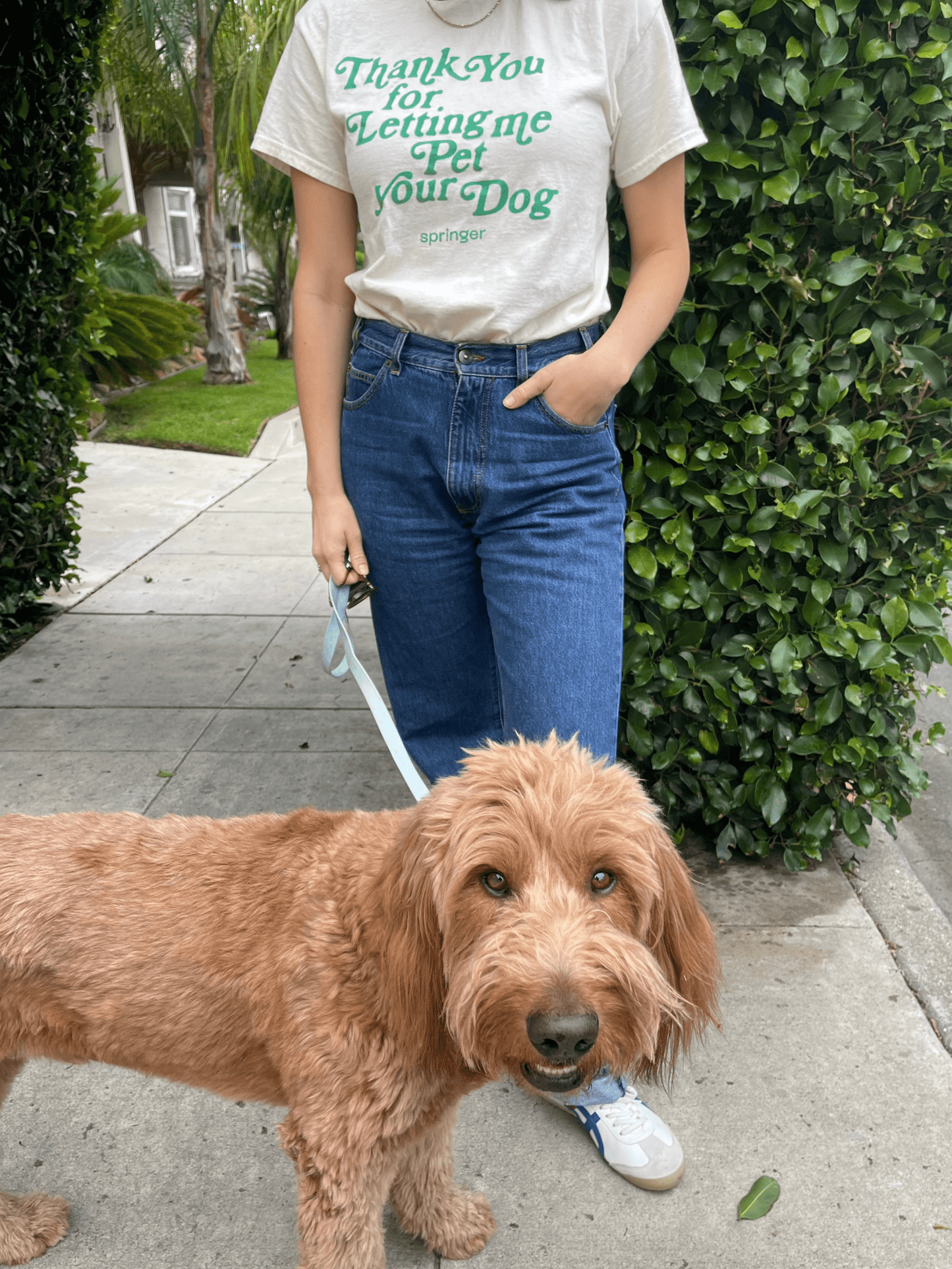 Springland Pets Thank You For Letting Me Pet Your Dog Tee - Angler's Pro Tackle & Outdoors