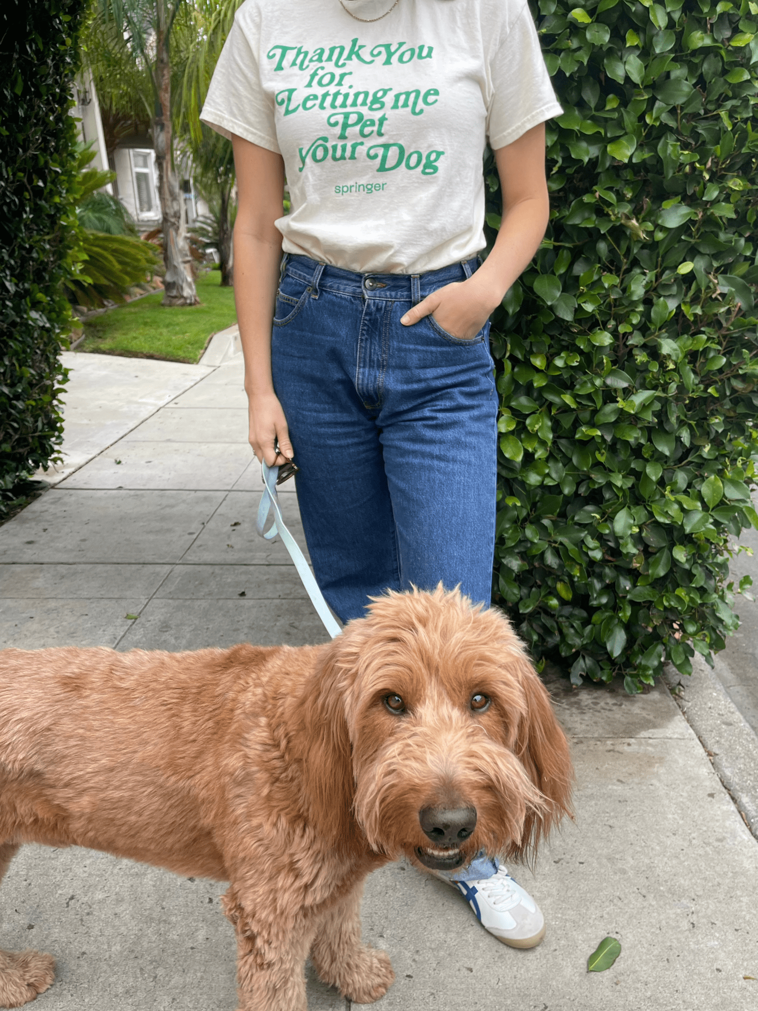 Springland Pets Thank You For Letting Me Pet Your Dog Tee - Angler's Pro Tackle & Outdoors