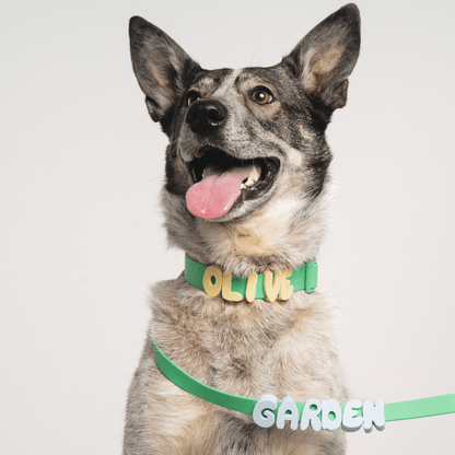Springland Pets Waterproof Dog Collar - Angler's Pro Tackle & Outdoors