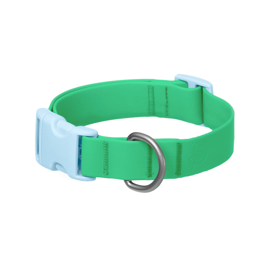Springland Pets Waterproof Dog Collar - Angler's Pro Tackle & Outdoors