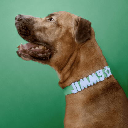 Springland Pets Waterproof Dog Collar - Angler's Pro Tackle & Outdoors