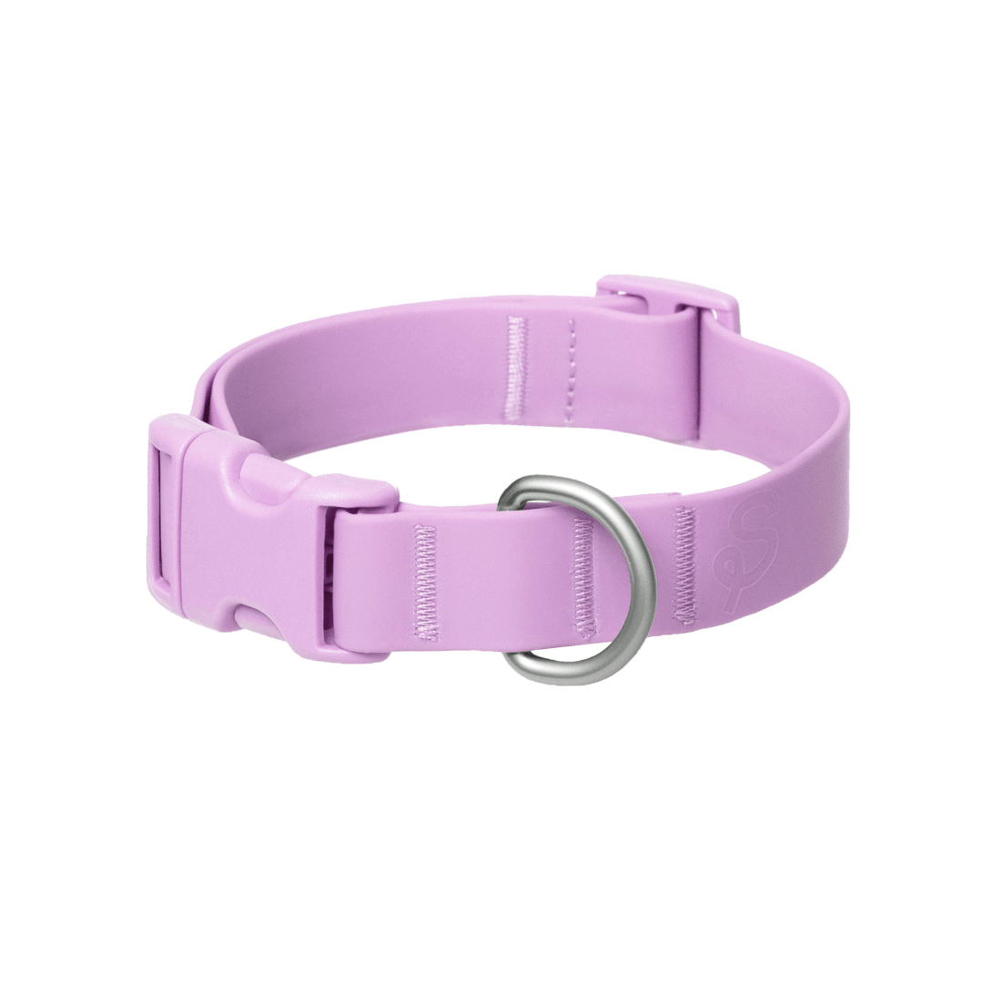 Springland Pets Waterproof Dog Collar - Angler's Pro Tackle & Outdoors