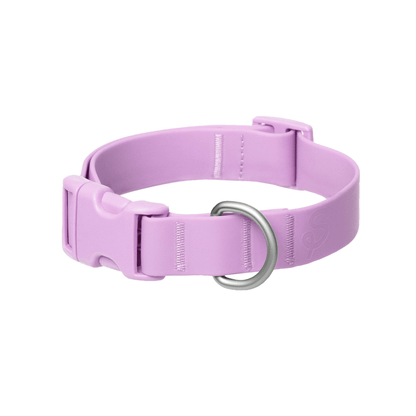 Springland Pets Waterproof Dog Collar - Angler's Pro Tackle & Outdoors