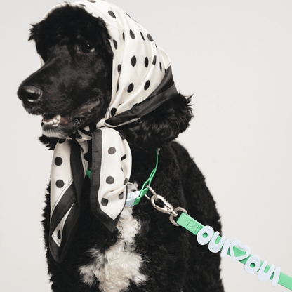 Springland Pets Waterproof Dog Leash - 5ft - Angler's Pro Tackle & Outdoors