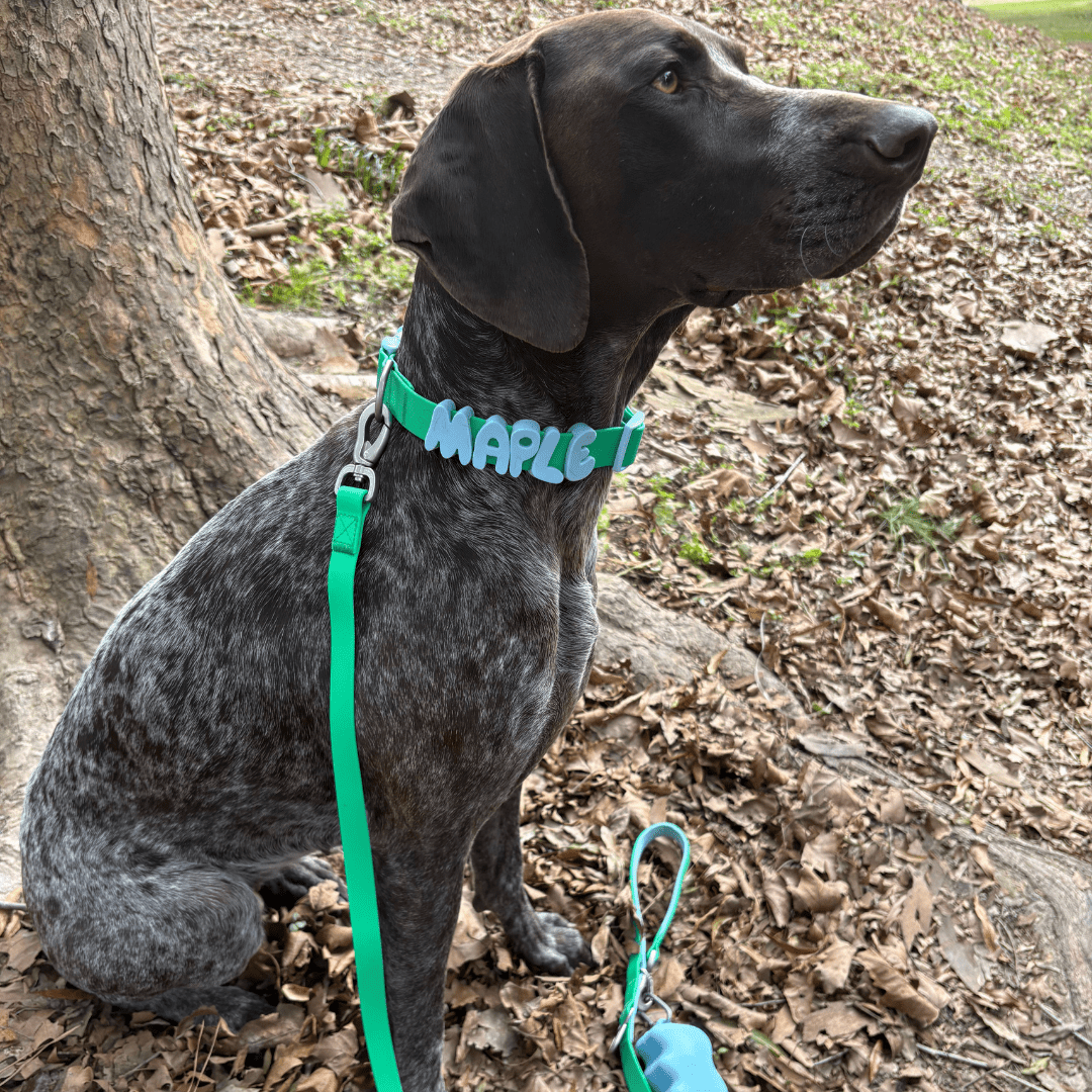 Springland Pets Waterproof Dog Leash - 5ft - Angler's Pro Tackle & Outdoors