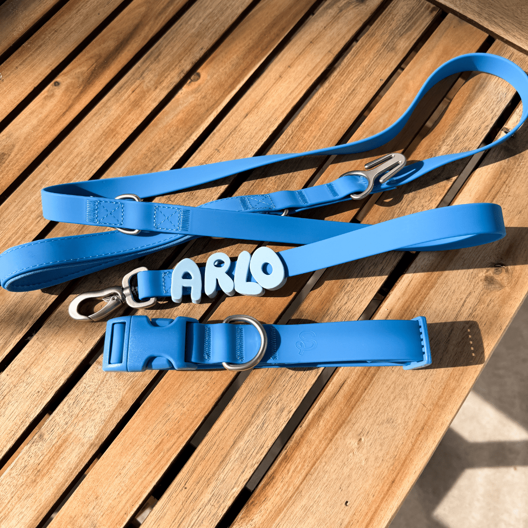 Springland Pets Waterproof Dog Leash - 5ft - Angler's Pro Tackle & Outdoors