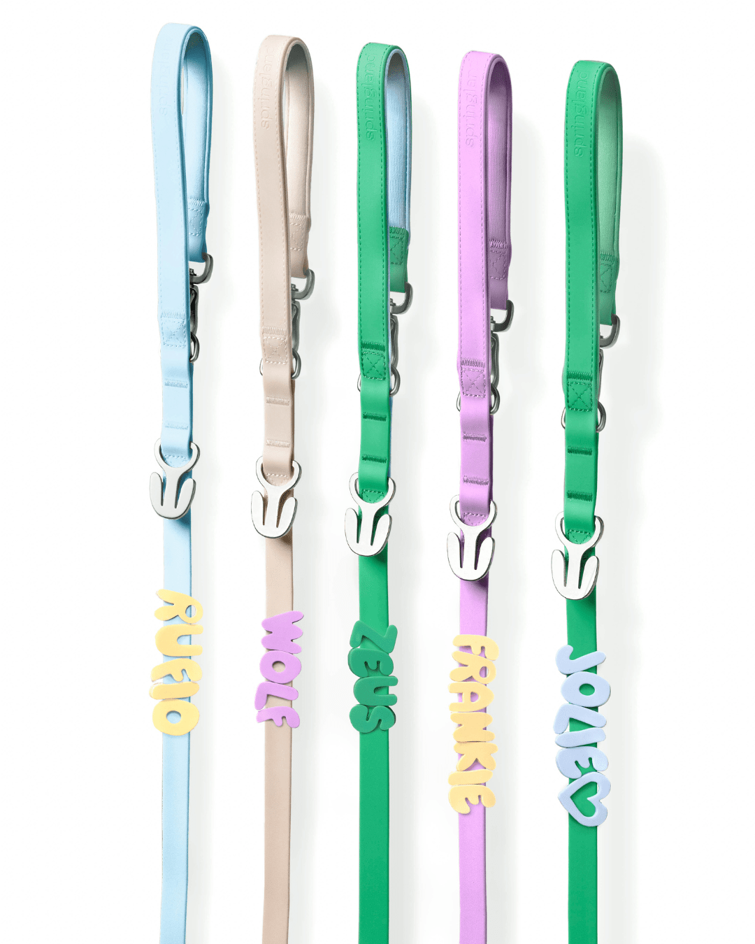 Springland Pets Waterproof Dog Leash - 5ft - Angler's Pro Tackle & Outdoors