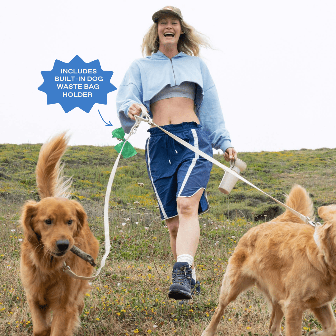 Springland Pets Waterproof Dog Leash - 5ft - Angler's Pro Tackle & Outdoors