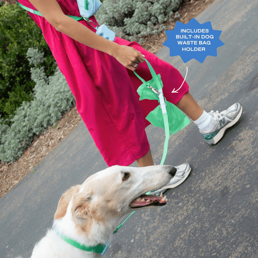 Springland Pets Waterproof Dog Leash - 5ft - Angler's Pro Tackle & Outdoors
