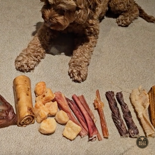 Bully Bunches - Bully Bunches Puppy Pack