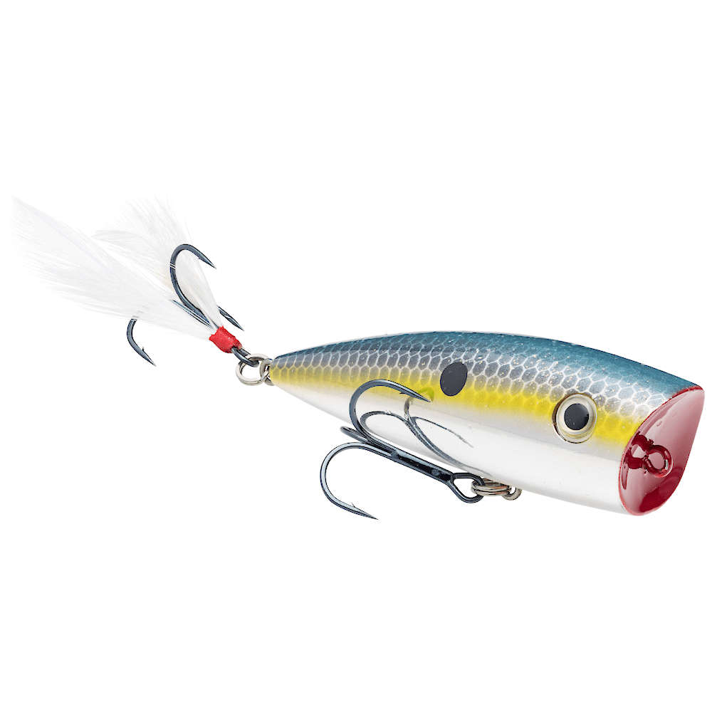 Strike King HC KVD Splash Popper - Angler's Pro Tackle & Outdoors